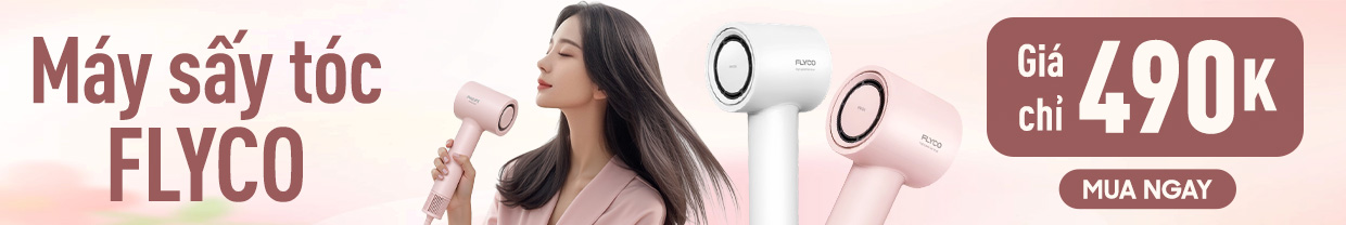 Máy sấy tóc Flyco