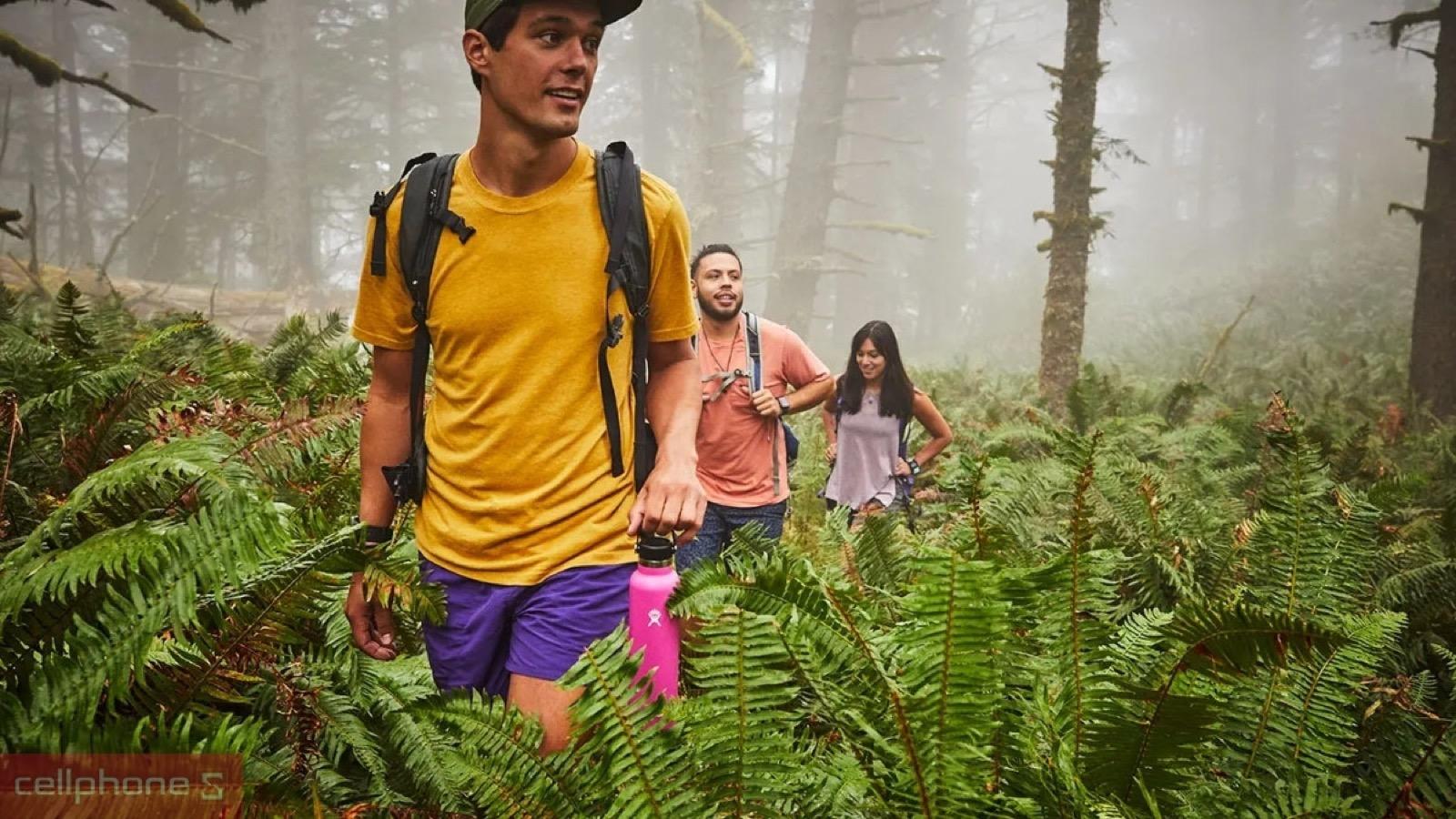Chất liệu an toàn, không chứa BPA của Bình giữ nhiệt Hydro Flask Standard Flex Cap 710ml S24SX