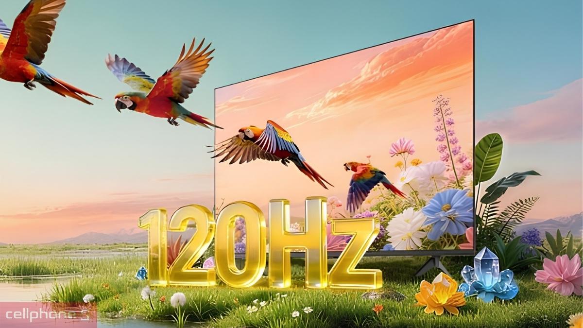 Tấn số quét của Google Tivi Coocaa QLED 4K 55 inch 2026 55Y79SE