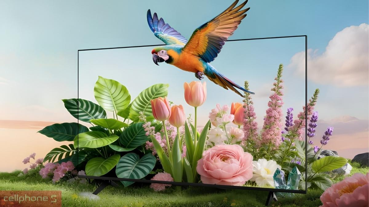 Công nghệ của Google Tivi Coocaa QLED 4K 55 inch 2026 55Y79SE