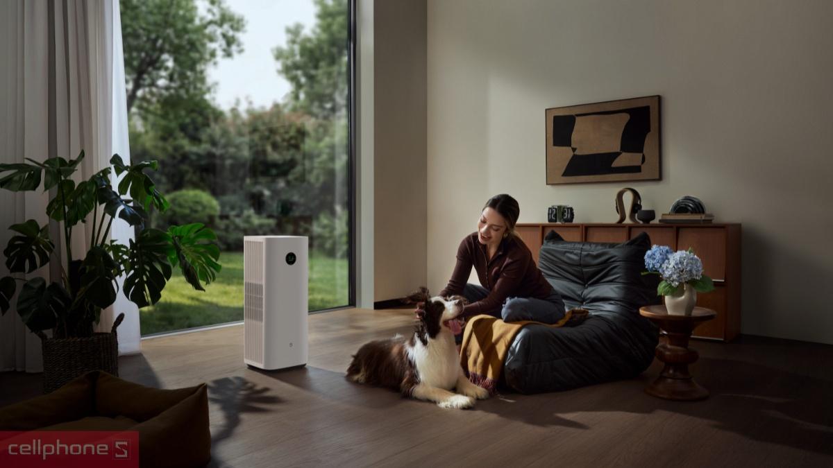 Nhóm người dùng phù hợp với máy lọc không khí Xiaomi Smart Air Purifier 6 Plus