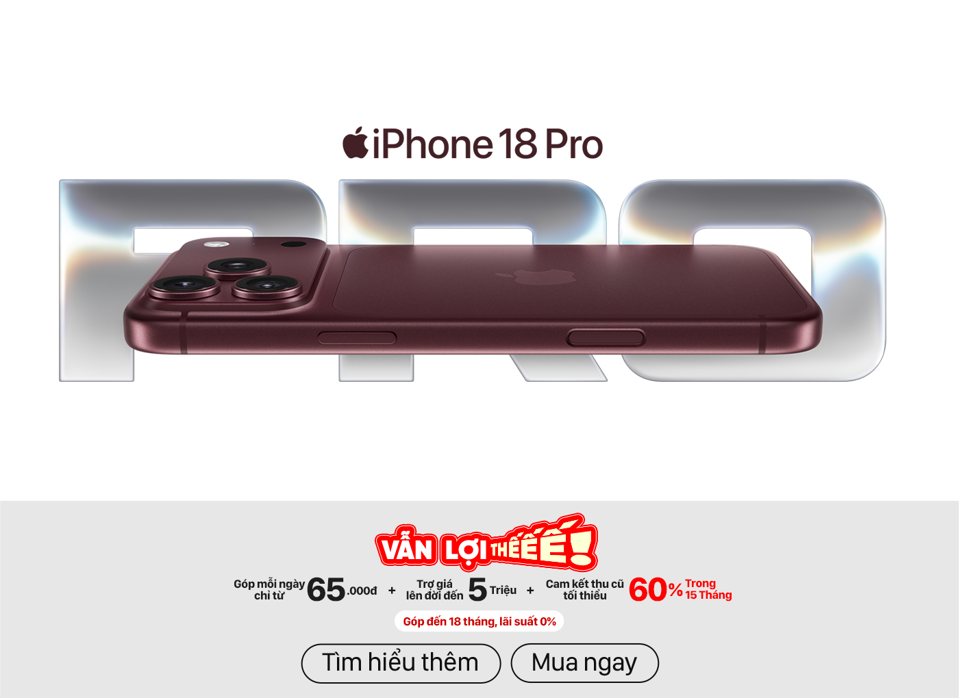 iPhone Duo 256GB